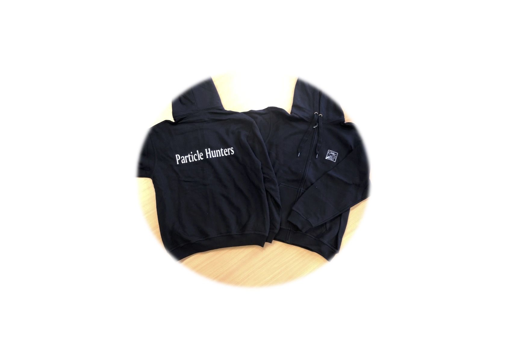 Hoddies particle hunters
