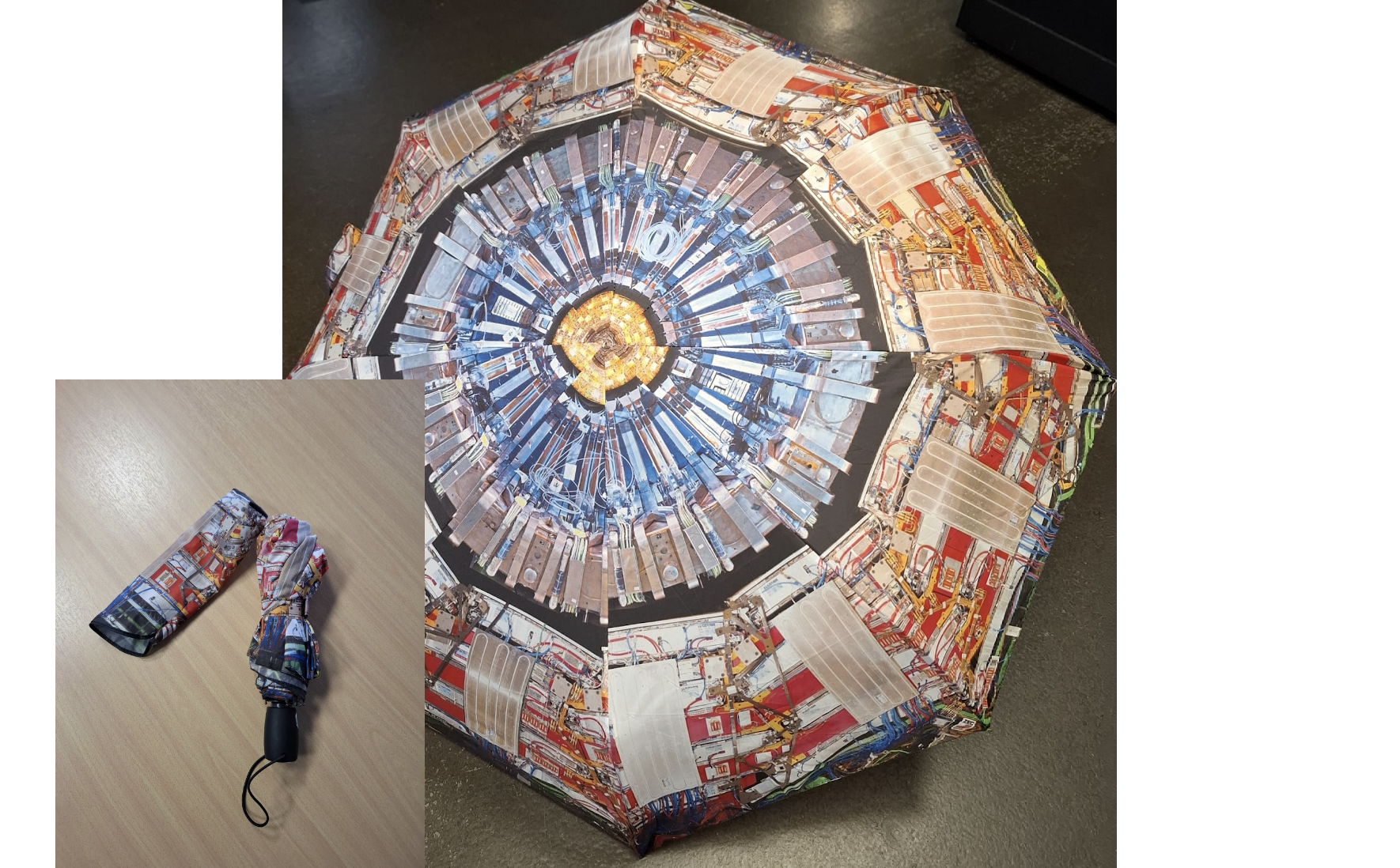 CMS Umbrella